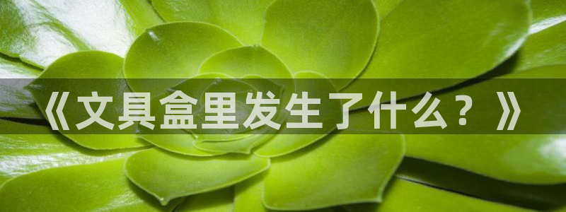 卧龙休闲娱乐优惠活动：《文具盒里发生了什