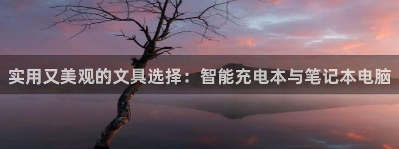 卧龙娱乐登录地址在哪：实用又美观的文具选