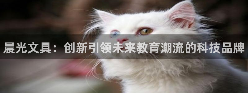 卧龙娱乐山西：晨光文具：创新引领未来教育