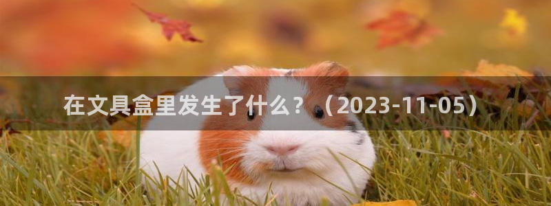 卧龙凤雏娱乐直播：在文具盒里发生了什么？