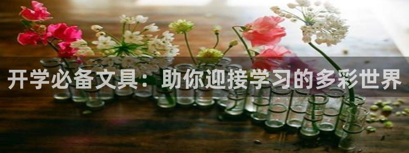 卧龙娱乐登录地址在哪：开学必备文具：助你