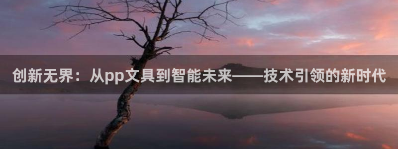 卧龙娱乐招商代理是谁：创新无界：从pp文