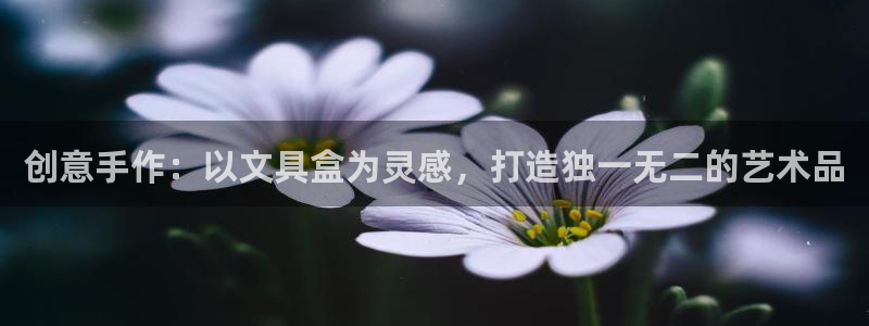 卧龙娱乐下载：创意手作：以文具盒为灵感，