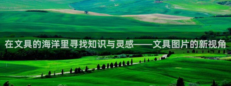 卧龙镇娱乐：在文具的海洋里寻找知识与灵感