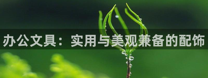 PT娱乐 扣卧龙60447：办公文具：实