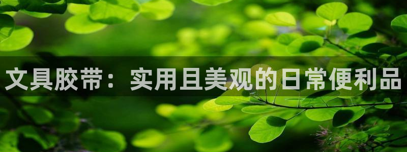 卧龙娱乐挂机软件下载：文具胶带：实用且美