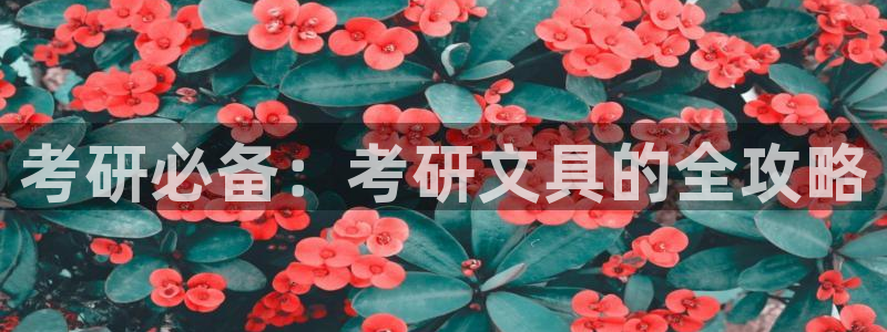 卧龙娱乐主管：考研必备：考研文具的全攻略