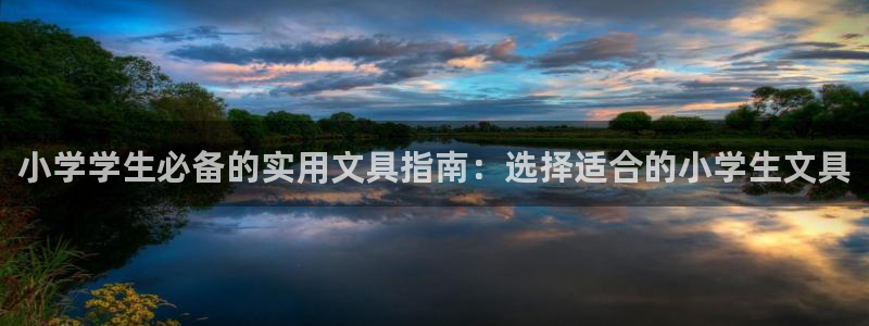 卧龙休闲娱乐推荐：小学学生必备的实用文具