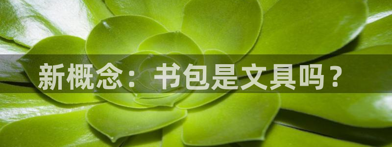 卧龙台球娱乐会所地址：新概念：书包是文具