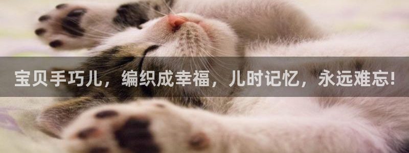 卧龙2神机娱乐：宝贝手巧儿，编织成幸福，