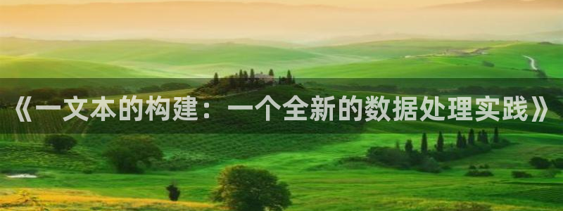 卧龙玩娱乐场：《一文本的构建：一个全新的