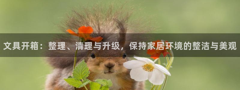 卧龙娱乐注册登录网址：文具开箱：整理、清