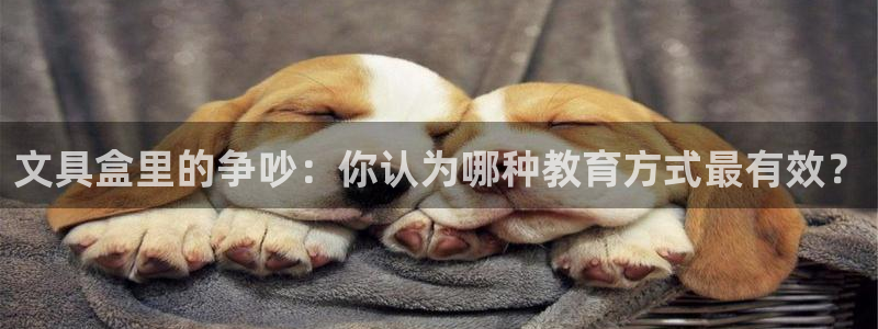 卧龙镇娱乐会所电话：文具盒里的争吵：你认