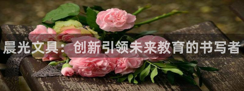 广丰卧龙城娱乐：晨光文具：创新引领未来教