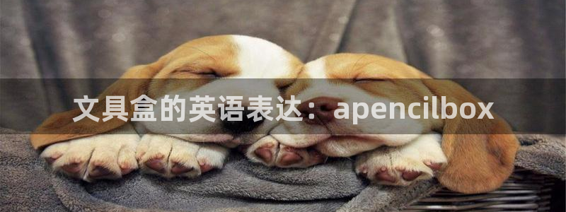 卧龙娱乐彩票怎么玩：文具盒的英语表达：a