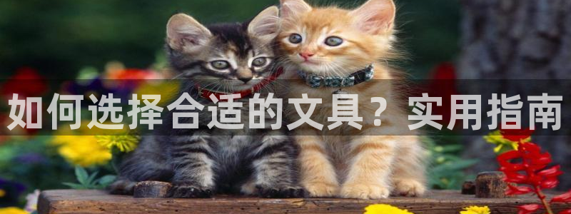 pt娱乐 卧龙主管60447：如何选择合