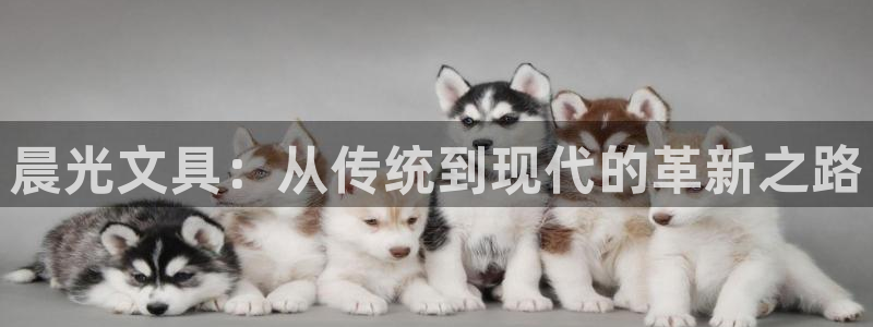 卧龙凤雏娱乐演员：晨光文具：从传统到现代
