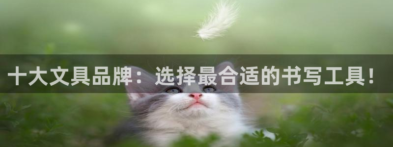 郑州卧龙娱乐设备：十大文具品牌：选择最合