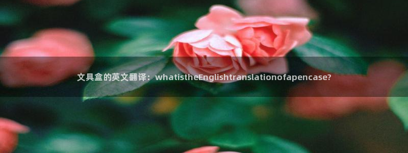卧龙凤雏娱乐演员：文具盒的英文翻译：wh