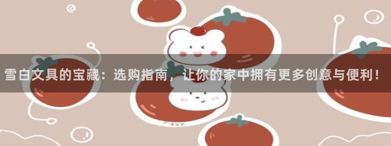 卧龙2娱乐登录：雪白文具的宝藏：选购指南