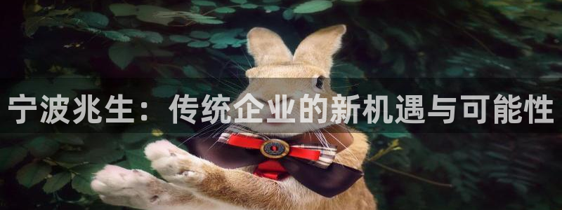 卧龙凤雏娱乐解说：宁波兆生：传统企业的新