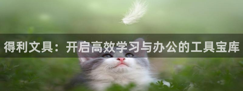 卧龙娱乐属于哪个集团：得利文具：开启高效