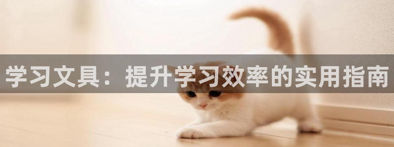 卧龙台球娱乐馆：学习文具：提升学习效率的