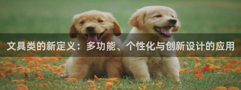 卧龙传统娱乐团购：文具类的新定义：多功能