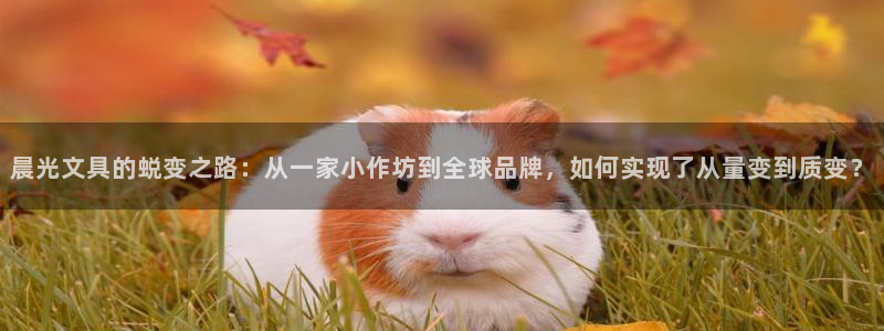 卧龙娱乐平台下载：晨光文具的蜕变之路：从