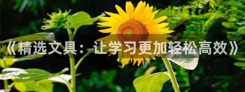 开远卧龙谷娱乐：《精选文具：让学习更加轻