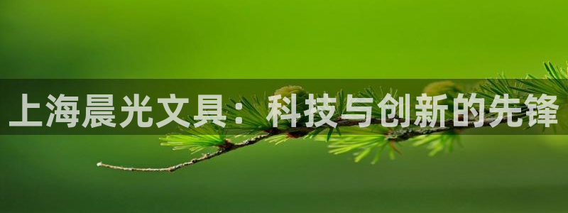 卧龙娱乐地址：上海晨光文具：科技与创新的