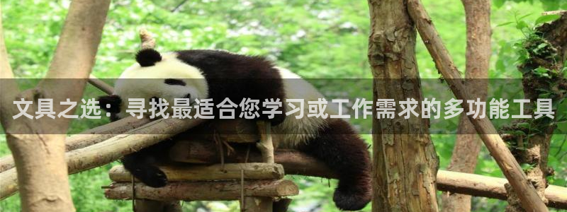卧龙娱乐彩票中奖了吗：文具之选：寻找最适