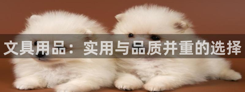 卧龙2神机娱乐注册：文具用品：实用与品质