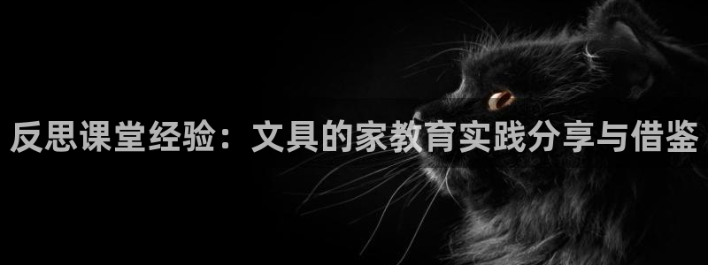 卧龙娱乐月：反思课堂经验：文具的家教育实